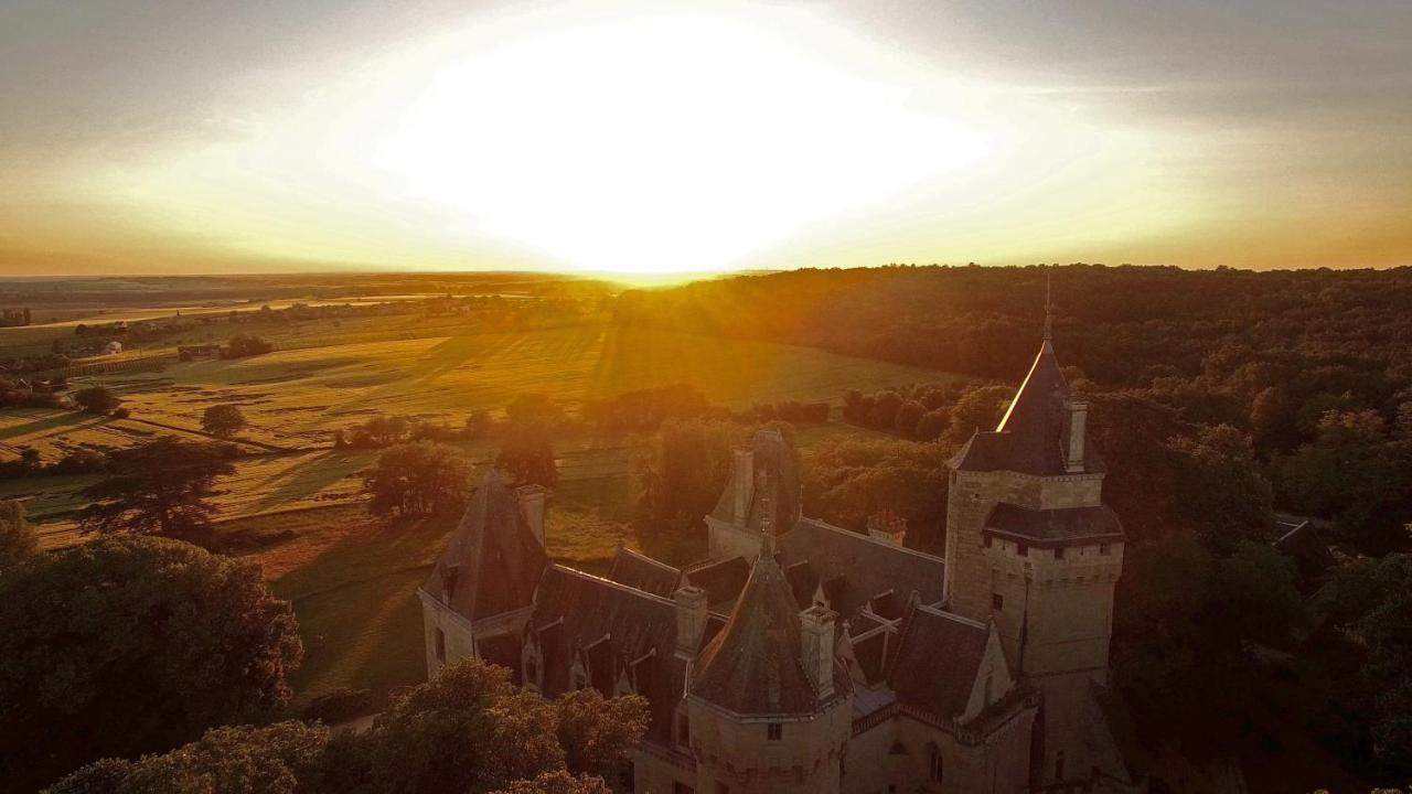 Bed and Breakfast Chateau De Ternay Ternay  Exterior foto