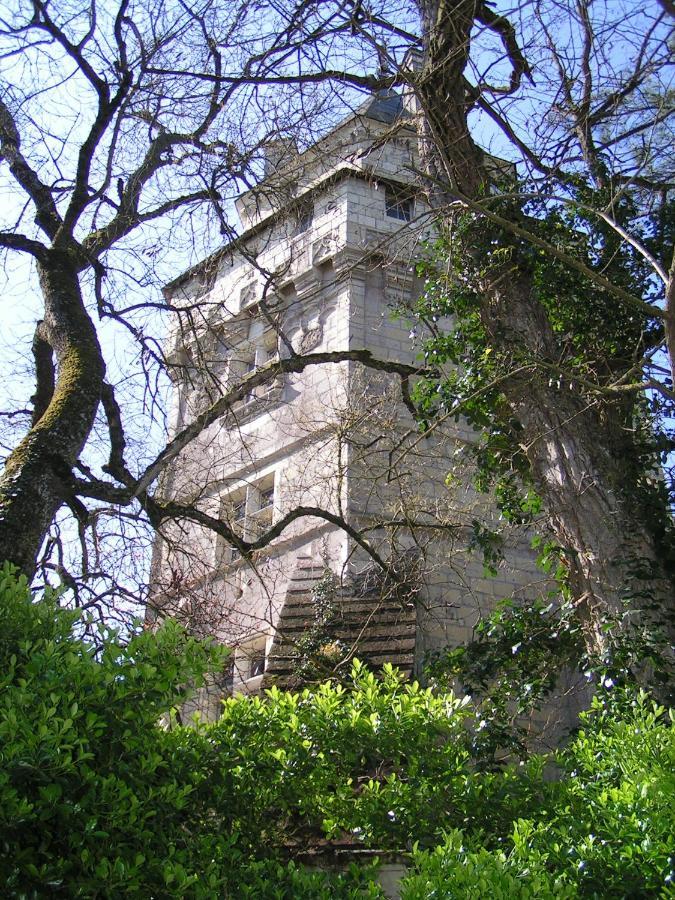 Bed and Breakfast Chateau De Ternay Ternay  Exterior foto