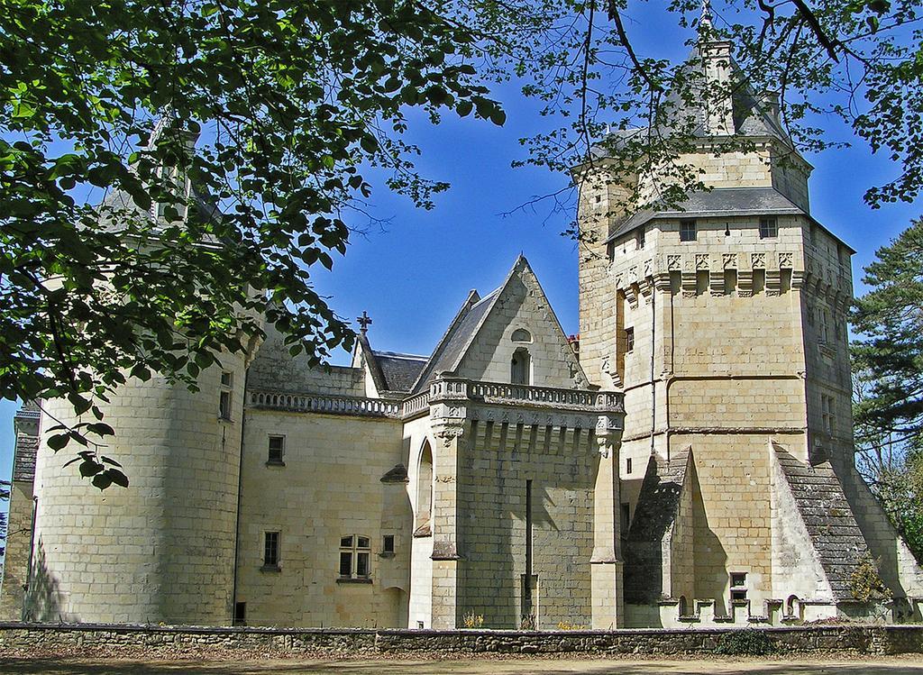 Bed and Breakfast Chateau De Ternay Ternay  Exterior foto