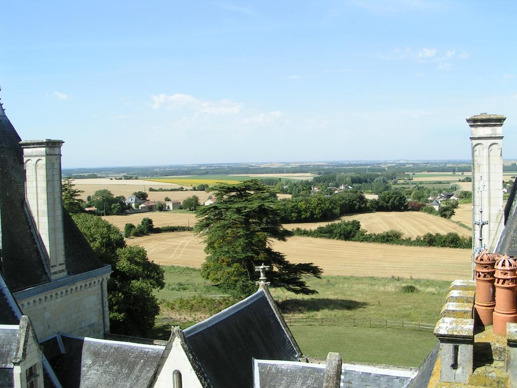 Bed and Breakfast Chateau De Ternay Ternay  Exterior foto