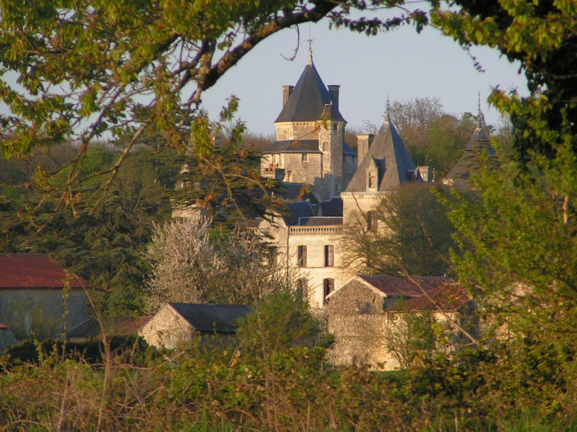 Bed and Breakfast Chateau De Ternay Ternay  Exterior foto