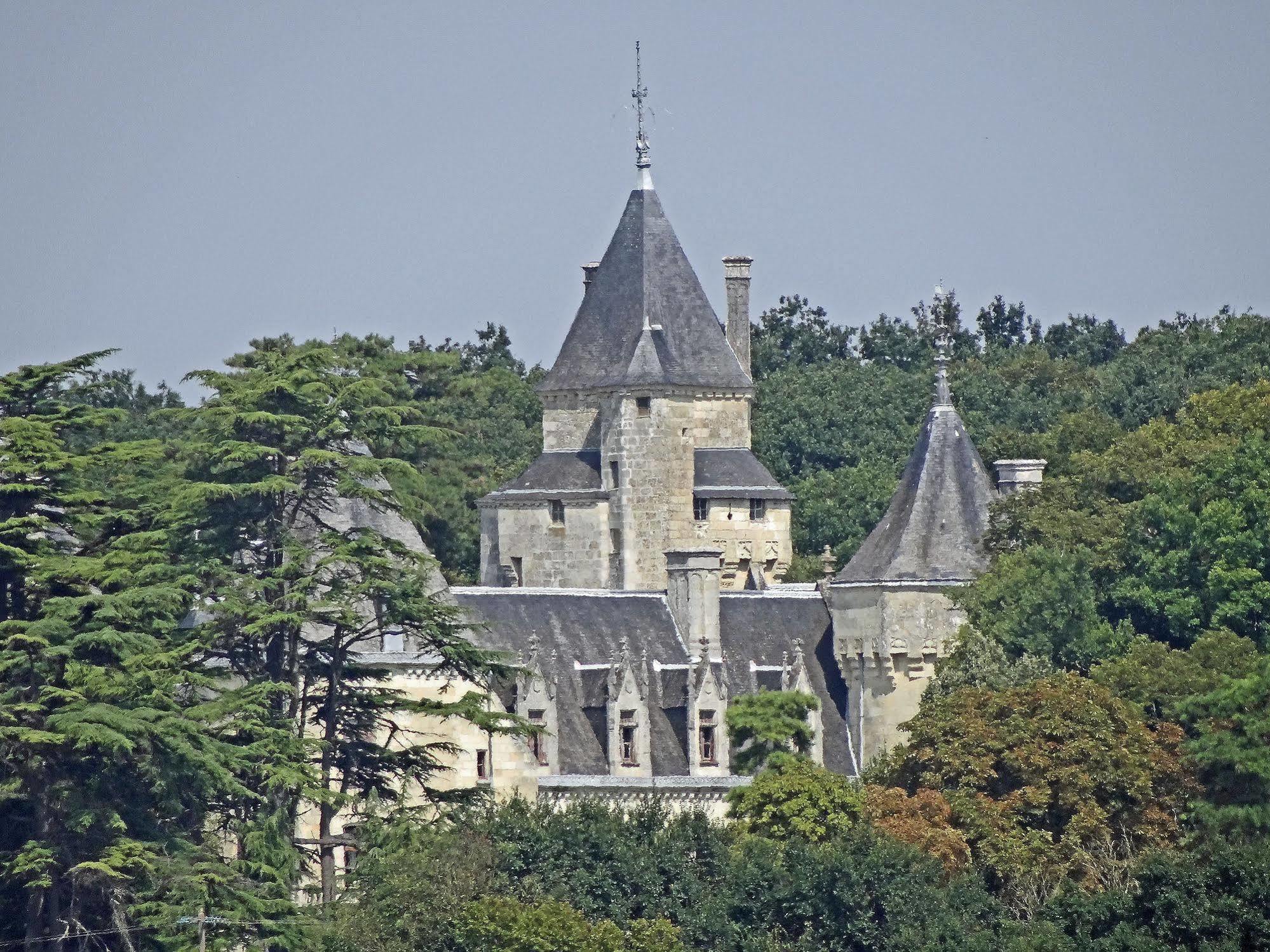 Bed and Breakfast Chateau De Ternay Ternay  Exterior foto