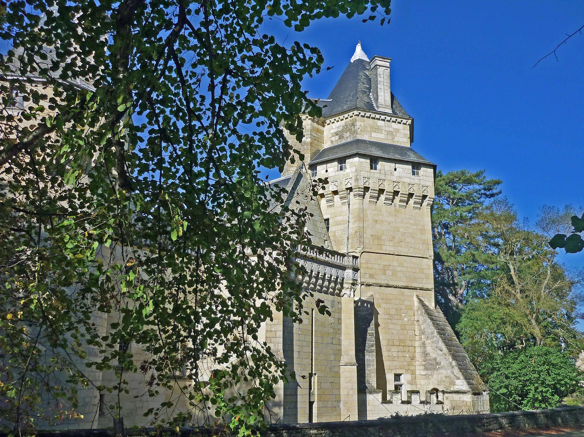 Bed and Breakfast Chateau De Ternay Ternay  Exterior foto