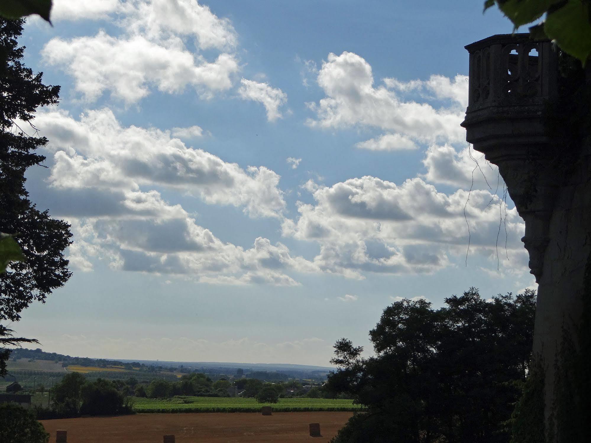 Bed and Breakfast Chateau De Ternay Ternay  Exterior foto