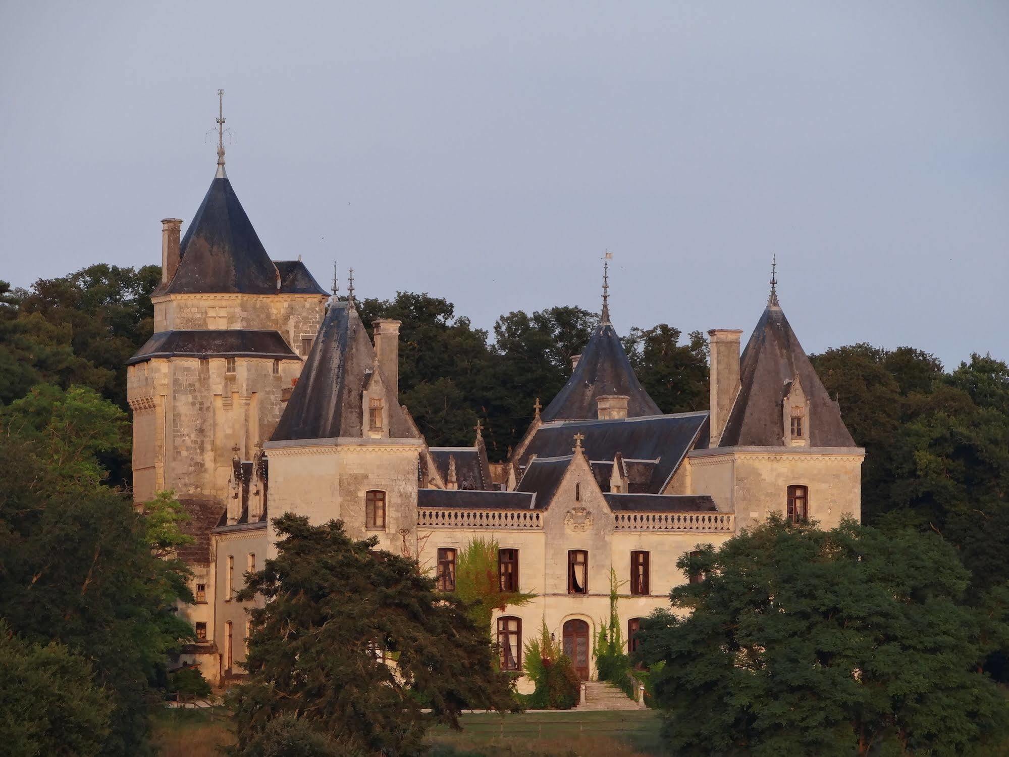 Bed and Breakfast Chateau De Ternay Ternay  Exterior foto