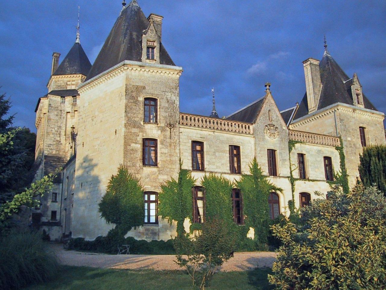 Bed and Breakfast Chateau De Ternay Ternay  Exterior foto